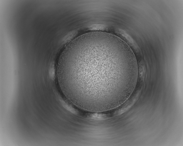 X0000111870261200907301122