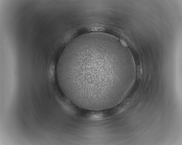 X0000111870263200907301122