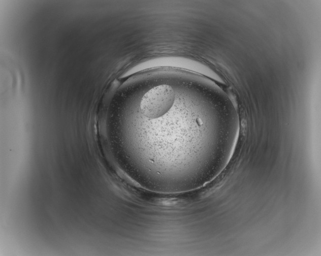 X0000111870264200907301122