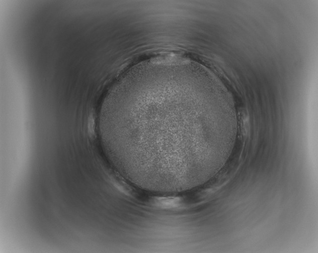 X0000111870266200907301122