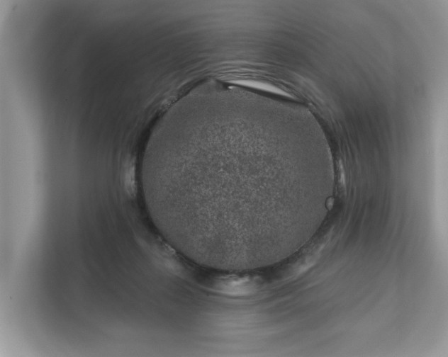 X0000111870267200907301122