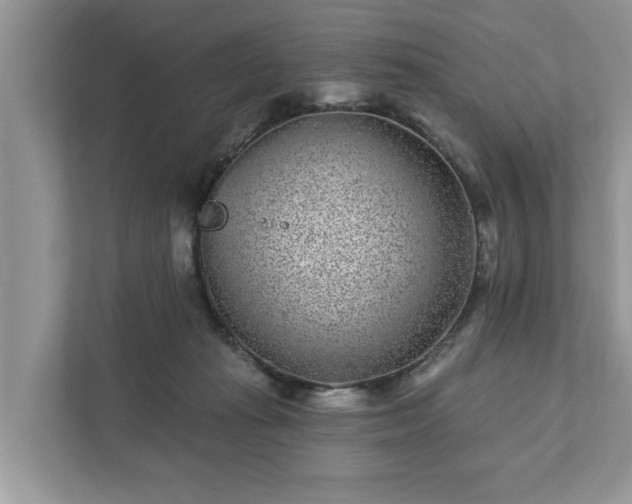 X0000111870269200907301122