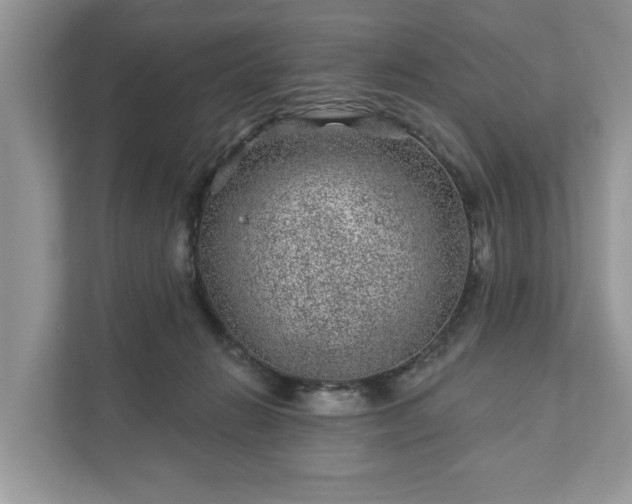 X0000111870270200907301122