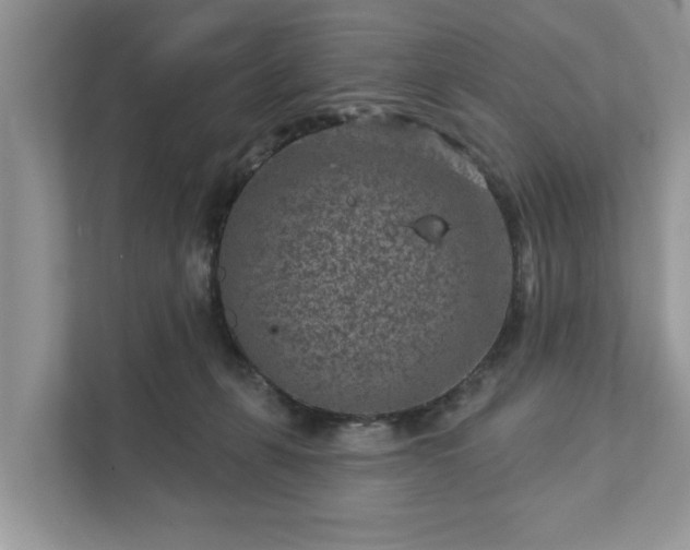 X0000111870271200907301122