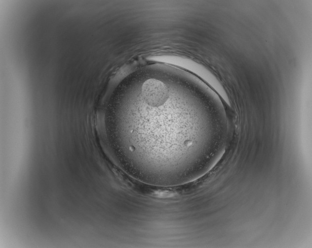 X0000111870272200907301122