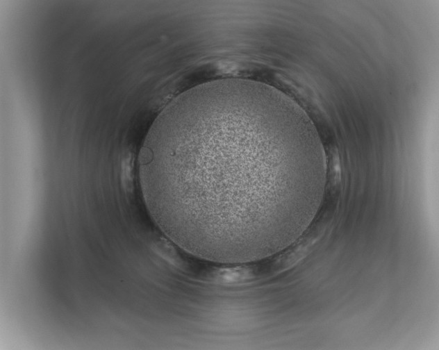 X0000111870275200907301122