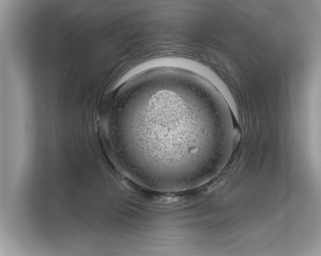 X0000111870276200907301122