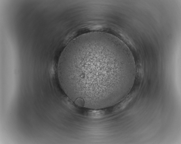 X0000111870277200907301122