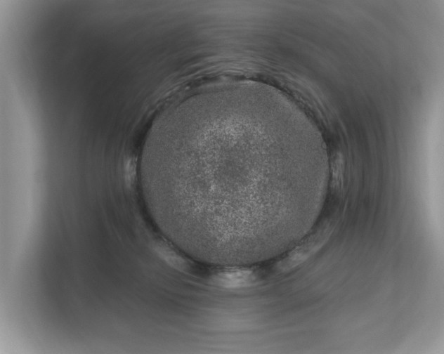 X0000111870278200907301122