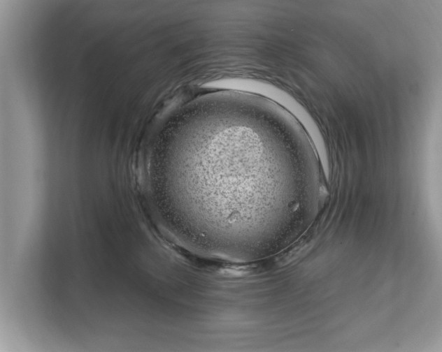 X0000111870280200907301122