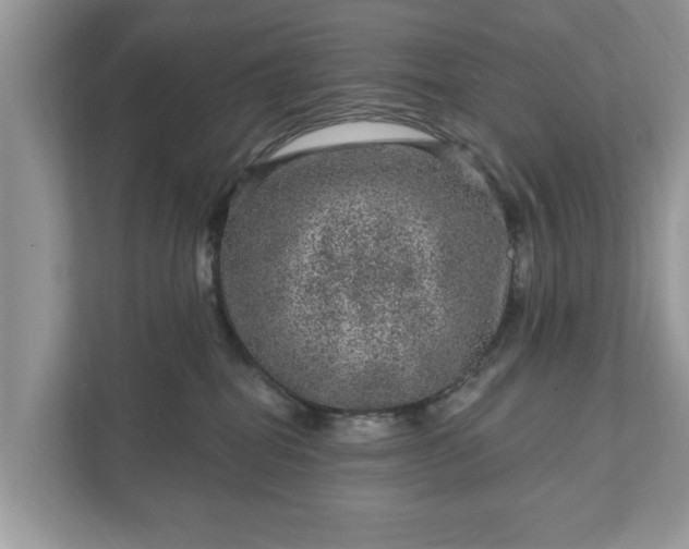 X0000111870282200907301122