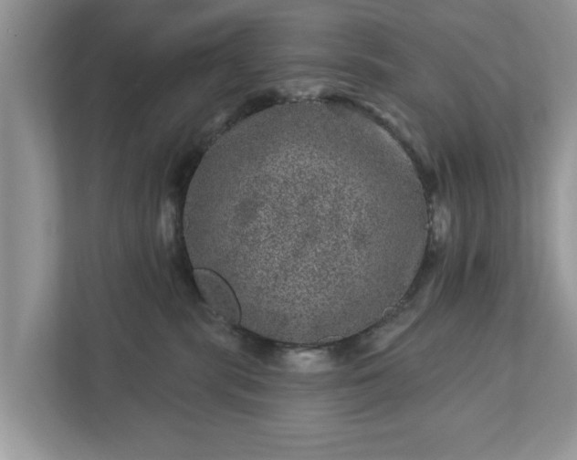 X0000111870283200907301122