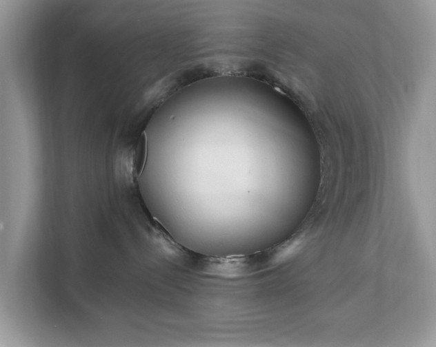 X0000111870288200907301123