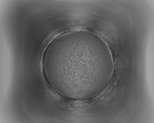 X0000111870290200907301122