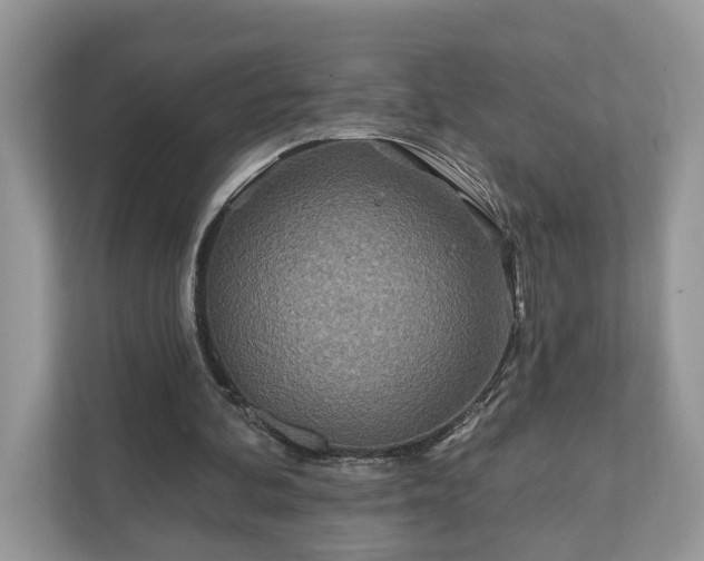 X0000111870292200907301122