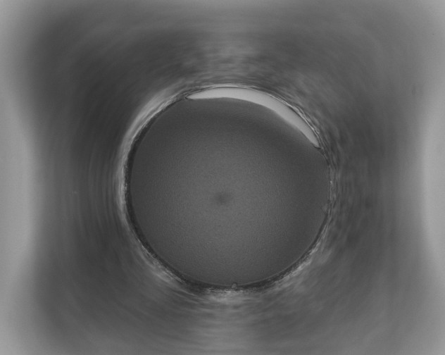 X0000111870293200907301122