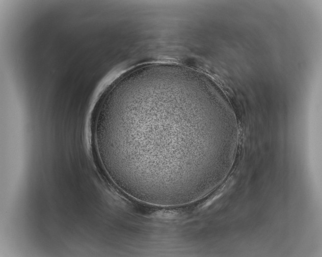 X0000111870294200907301122