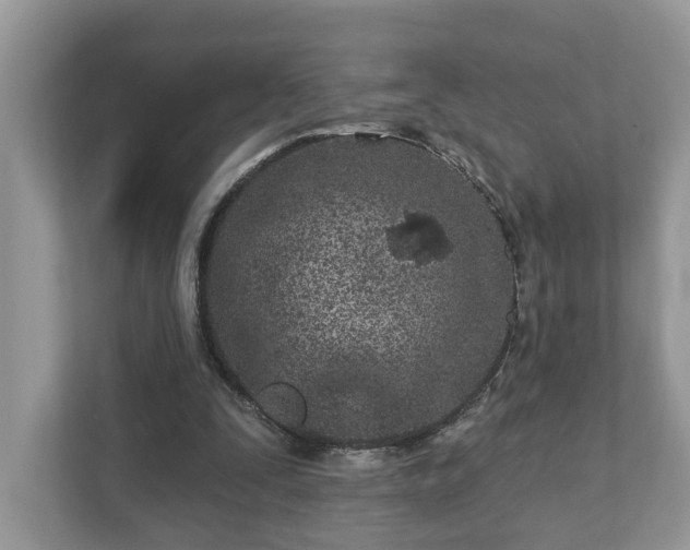 X0000111870295200907301122