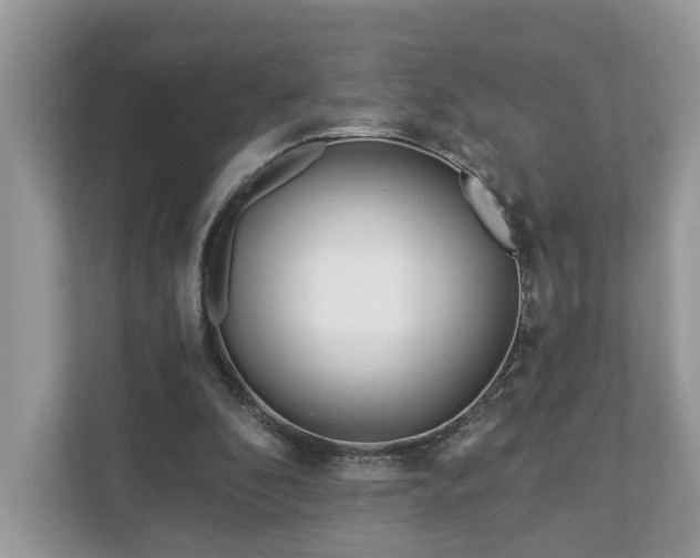 X0000111870296200907301122