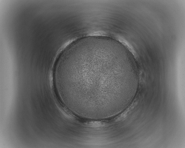 X0000111870298200907301122