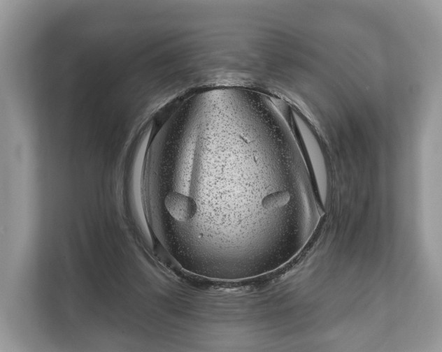 X0000111870299200907301122