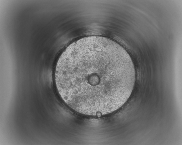 X0000111870302200907301122