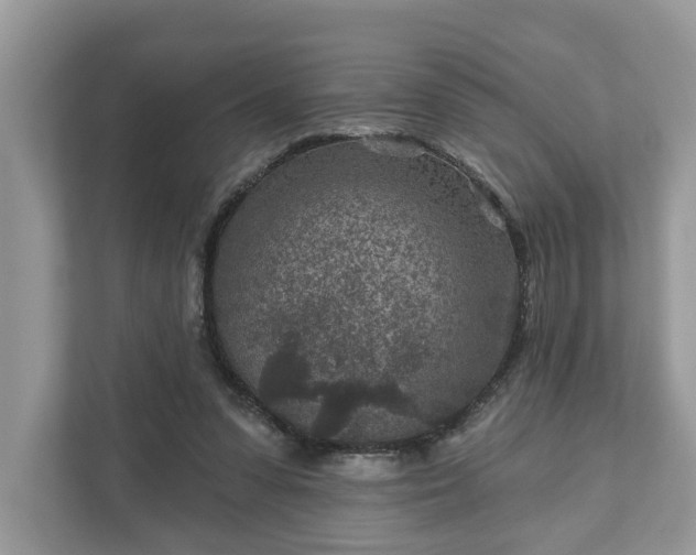 X0000111870303200907301122