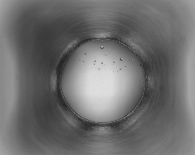 X0000111870304200907301122