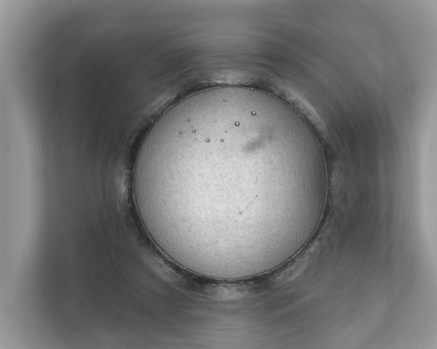 X0000111870305200907301122