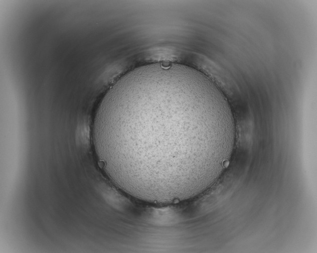 X0000111870309200907301122