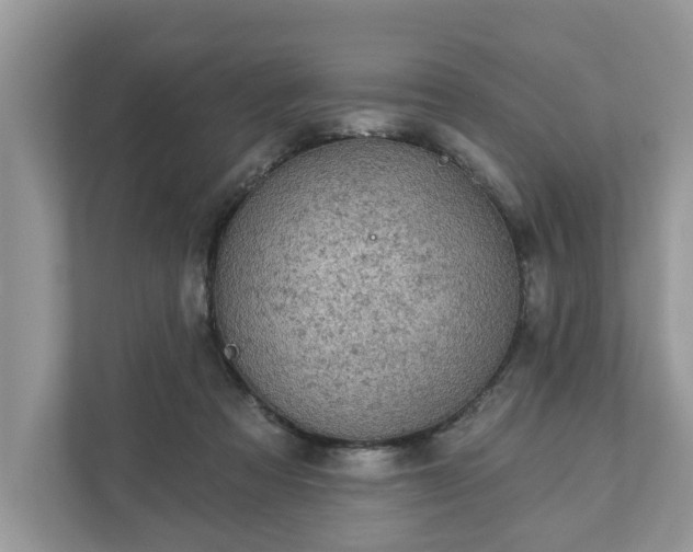 X0000111870313200907301122