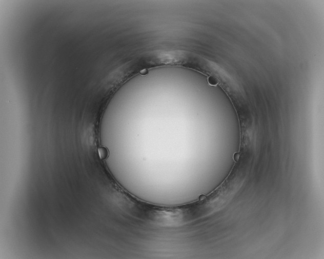 X0000111870317200907301122