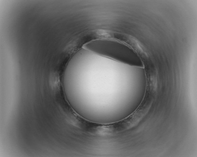 X0000111870320200907301122