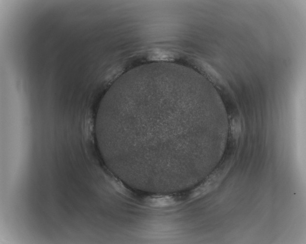 X0000111870322200907301121