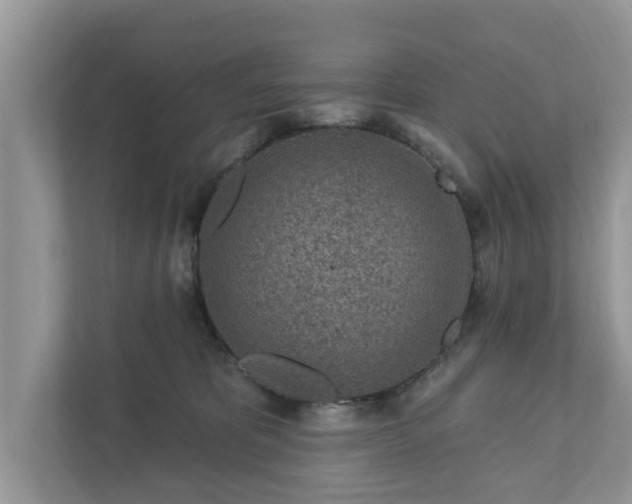 X0000111870325200907301121