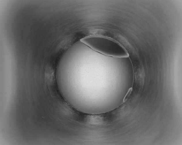 X0000111870327200907301121