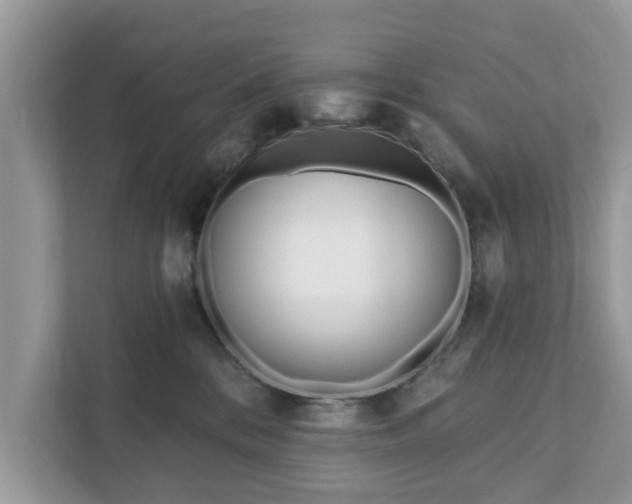 X0000111870328200907301121