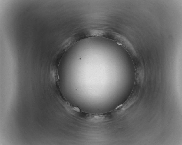 X0000111870329200907301121