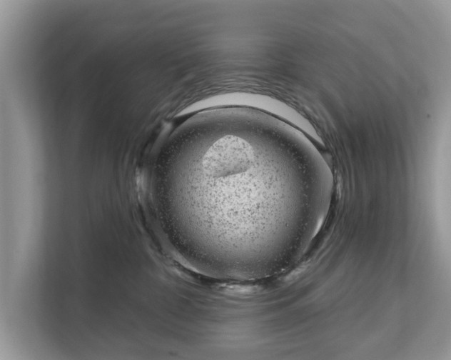 X0000111870332200907301121