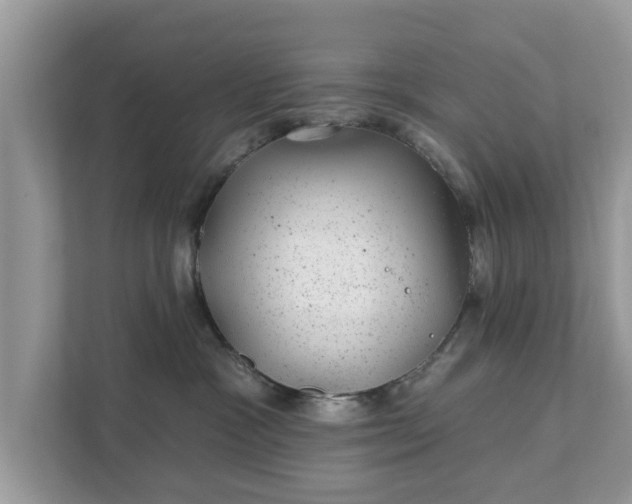 X0000111870333200907301121