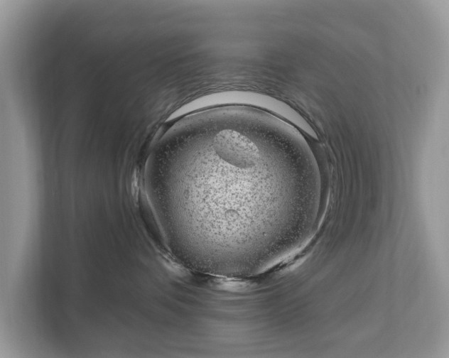 X0000111870336200907301121