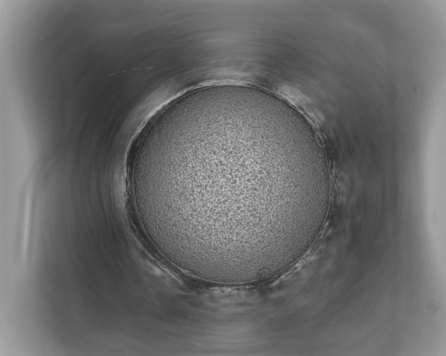 X0000111870338200907301121