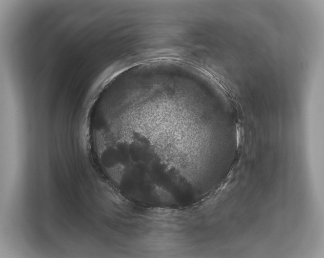 X0000111870339200907301121