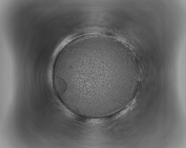 X0000111870341200907301121