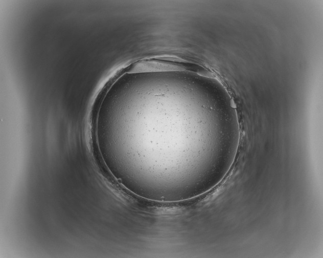 X0000111870342200907301121