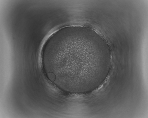 X0000111870343200907301121