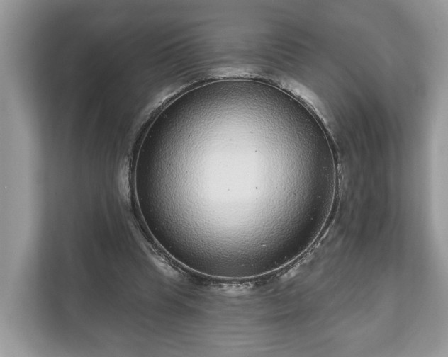 X0000111870345200907301121