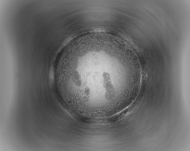 X0000111870347200907301121