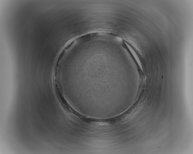 X0000111870348200907301121