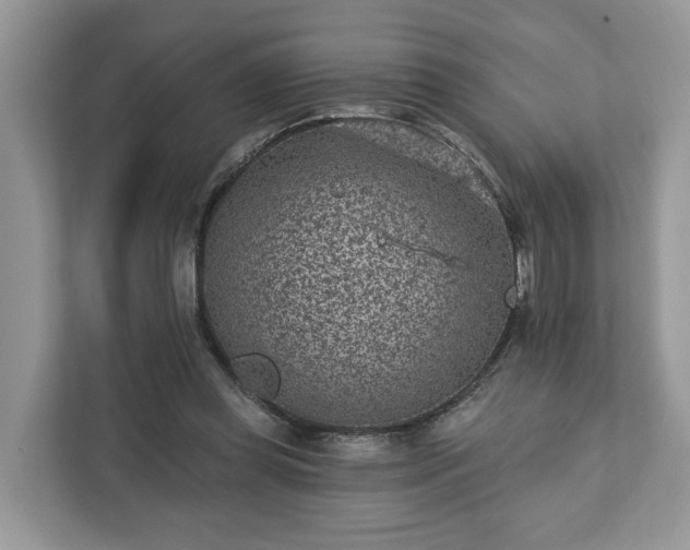 X0000111870349200907301121